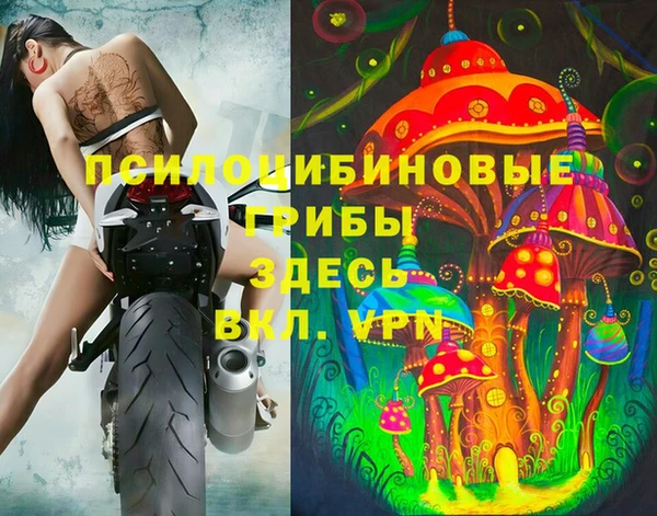 ALPHA PVP Дмитров