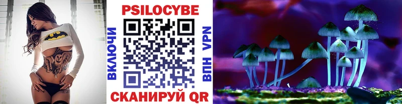 Галлюциногенные грибы мицелий  Томск 