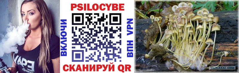 Галлюциногенные грибы MAGIC MUSHROOMS Томск